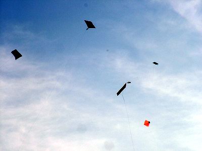 IKF-2007 Kites and Sky